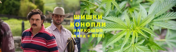 2c-b Богородицк