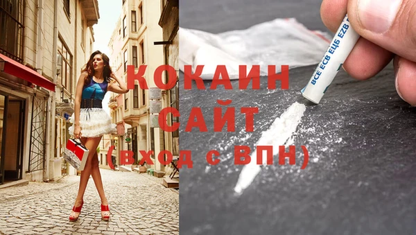 2c-b Богородицк